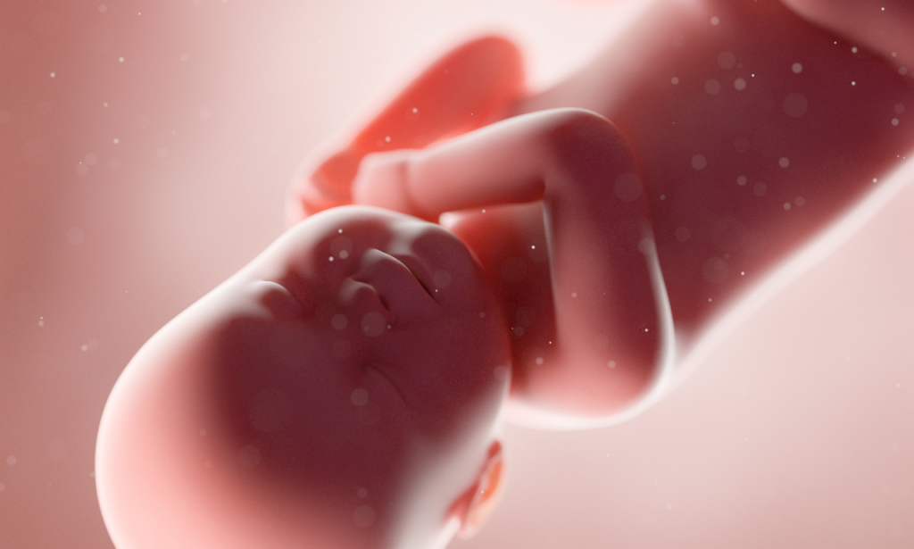 Hammering on Fontanels of the Foetus by Khalid Jawed - An excerpt from Urdu Novel "The Book of Death"