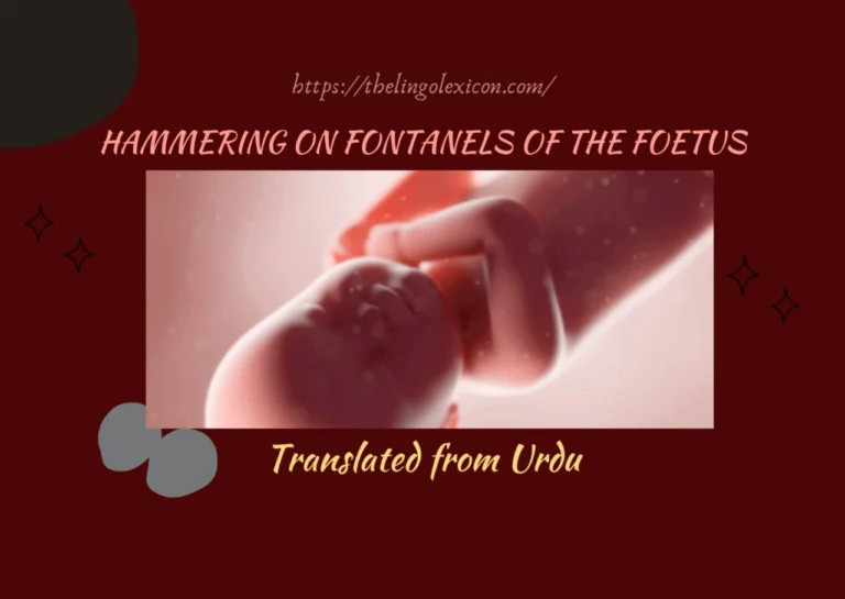 I am going be meted out...— Hammering on Fontanels of the Foetus -An excerpt from Urdu Novel“Maut ki Kitab”(The Book of Death)by Khalid Jawed