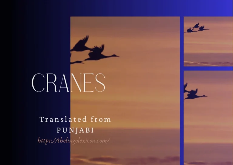 𝘛𝘪𝘮𝘦 𝘪𝘴 𝘢 𝘤𝘳𝘶𝘦𝘭 𝘵𝘩𝘪𝘦𝘧 — 𝘴𝘯𝘢𝘵𝘤𝘩𝘦𝘴 𝘢𝘸𝘢𝘺…— CRANES by Khalid Farhad Dhariwal - SHORT STORY - Punjabi Literature