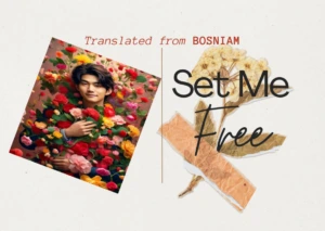 𝘚𝘦𝘵 𝘮𝘦 𝘧𝘳𝘦𝘦 𝘧𝘳𝘰𝘮 𝘤𝘢𝘱𝘵𝘪𝘷𝘪𝘵𝘺 𝘶𝘯𝘵𝘪𝘭 𝘐’𝘮... Set Me Free by Dervisa Grabus Colakovic - Bosnian Poetry