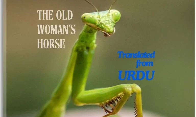 𝘐𝘧 𝘐 𝘸𝘢𝘴 𝘴𝘰 𝘰𝘭𝘥 𝘸𝘩𝘺 𝘥𝘪𝘥 𝘺𝘰𝘶 𝘮𝘢𝘳𝘳𝘺 𝘮𝘦?…— The Old Woman’s Horse by Hafeez Khan - Urdu Literature - Urdu Fiction