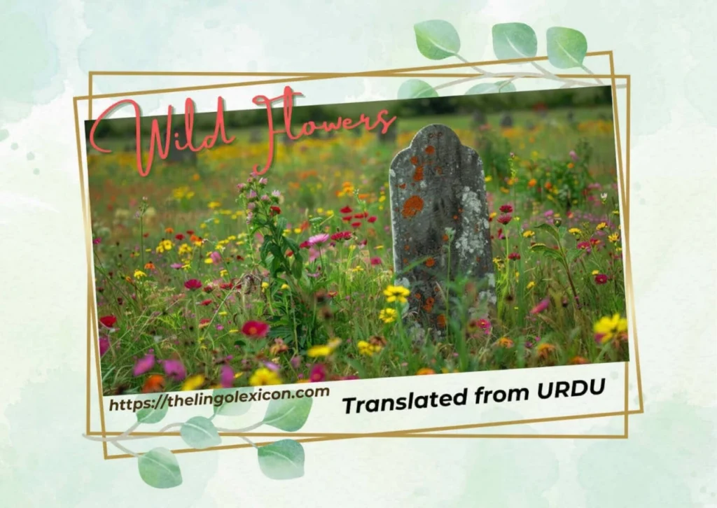 𝘛𝘩𝘦 𝘧𝘦𝘦𝘭 𝘰𝘧 𝘩𝘦𝘳 𝘴𝘰𝘧𝘵 𝘧𝘪𝘯𝘨𝘦𝘳𝘴 𝘸𝘢𝘴 𝘭𝘪𝘬𝘦... Wild Flowers — FLASH FICTION 𝒃𝒚 Dua Azeemi - Urdu Fiction- Urdu Literature