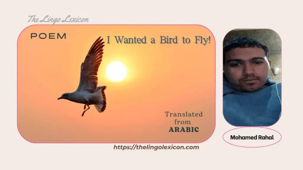 𝘎𝘪𝘷𝘦 𝘮𝘺 𝘳𝘦𝘨𝘢𝘳𝘥𝘴, 𝘖 𝘔𝘢𝘳, 𝘢𝘯𝘥 𝘵𝘦𝘭𝘭 𝘩𝘦𝘳... I Wanted a Bird to Fly — POEM 𝒃𝒚 Mohamed Rahal - Arabic Literature - Arabic Poetry