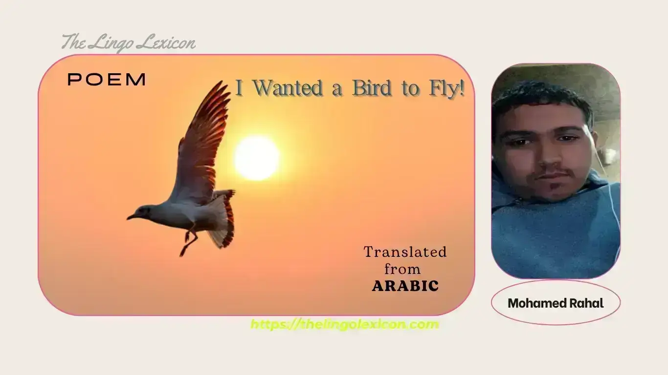 I Wanted a Bird to Fly by Mohamed Rahal - Arabic Literature - Arabic Poetry