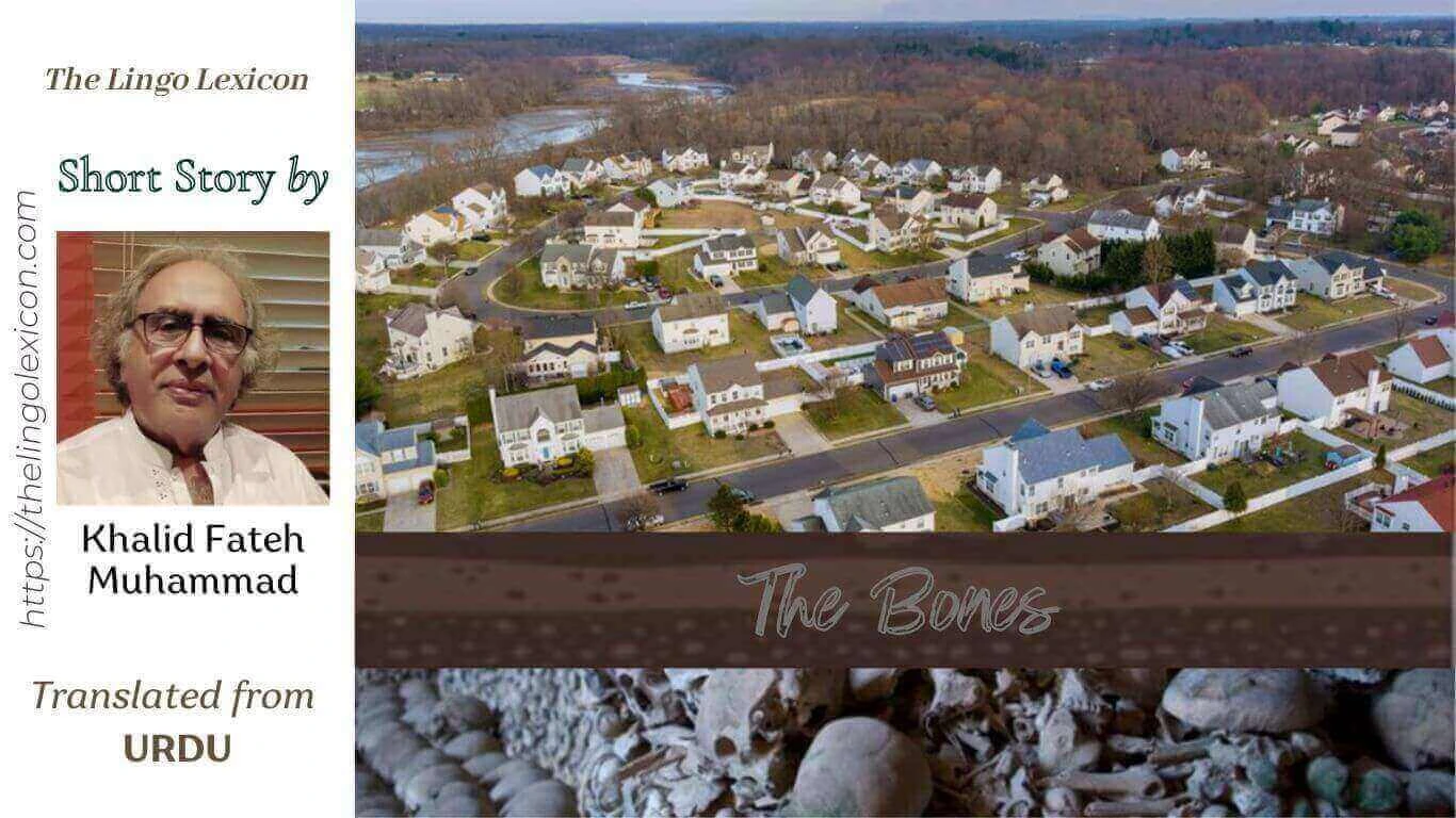 The Bones